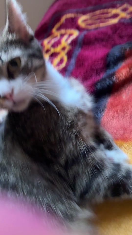 TikTok video thumbnail by skyler9902