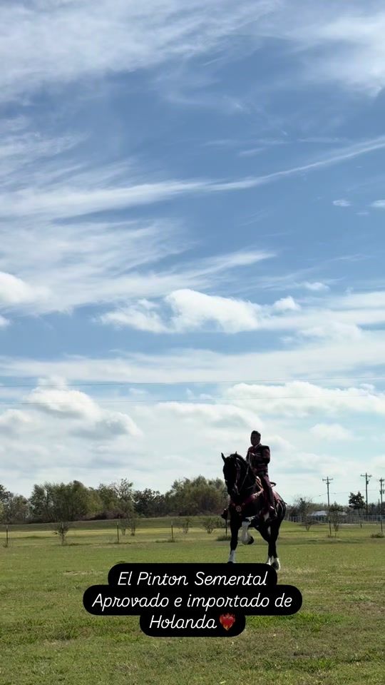 TikTok video thumbnail by erikroberto.elcharro