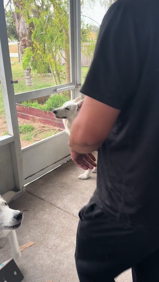 TikTok video thumbnail by mijasmission