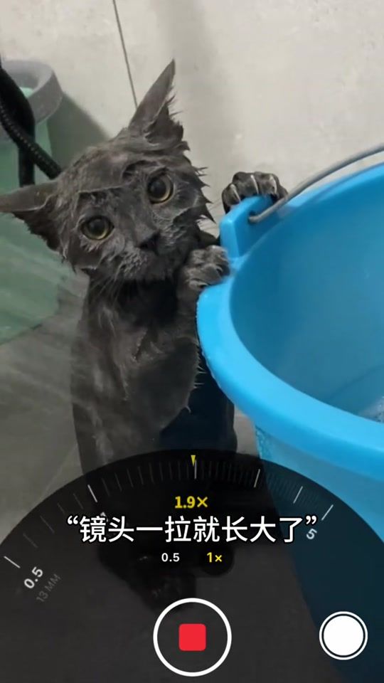 TikTok video thumbnail by svs3gg