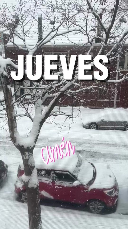 TikTok video thumbnail by leudysmaria