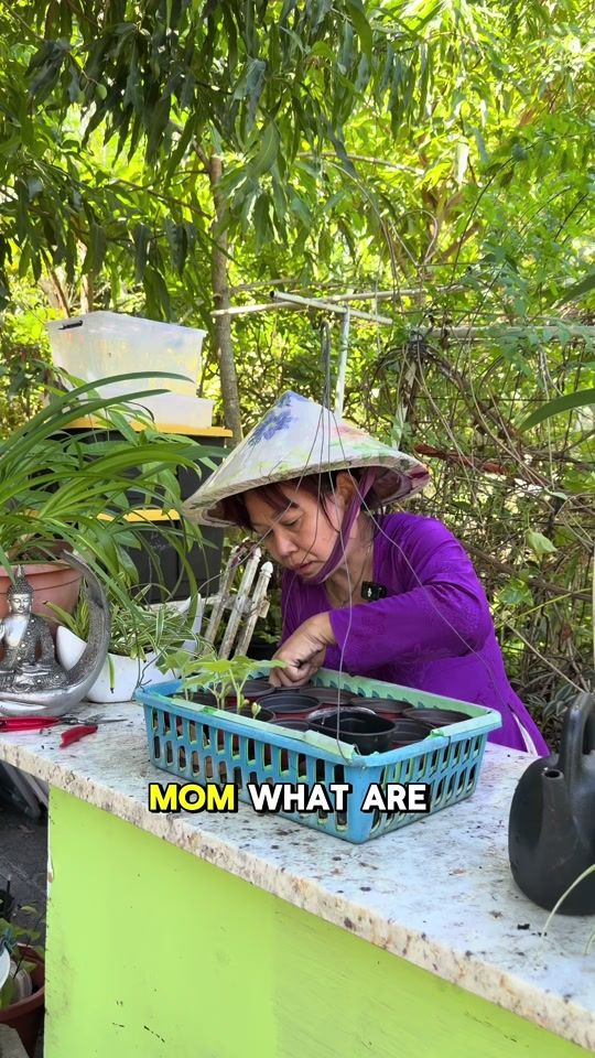 TikTok video thumbnail by judybaogarden