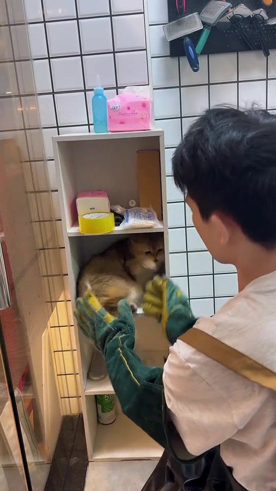 TikTok video thumbnail by t9600360