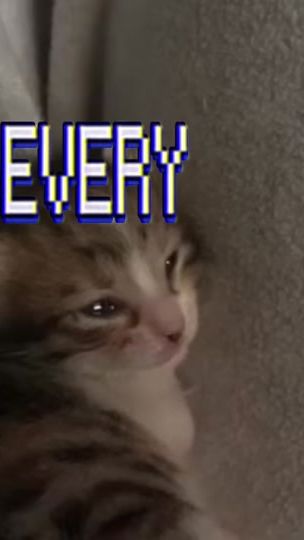TikTok video thumbnail by s0rrowmusic
