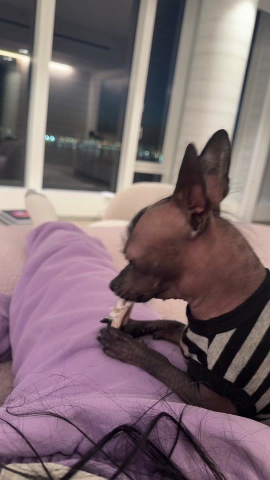 TikTok video thumbnail by thegirljtworld