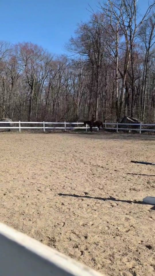 TikTok video thumbnail by lydia.eq0