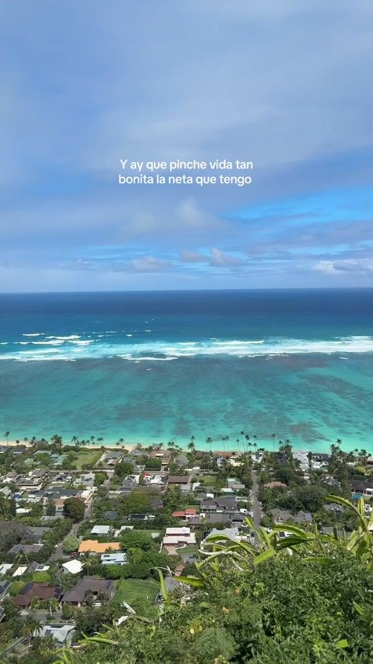 TikTok video thumbnail by whoschellyy