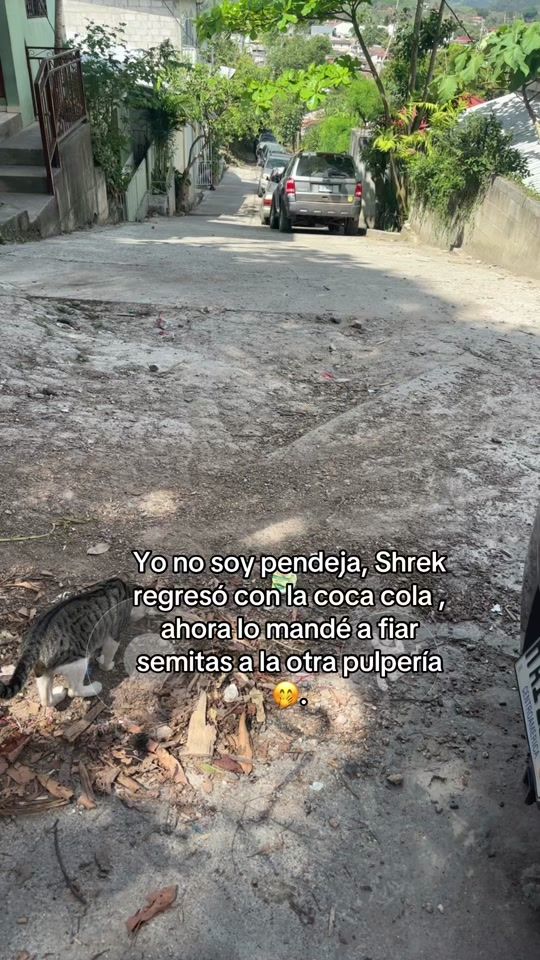 TikTok video thumbnail by mparedes7601