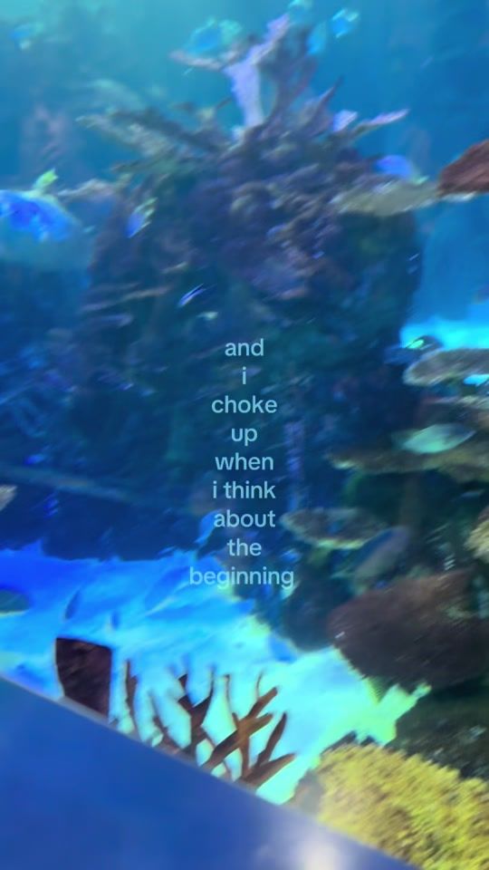TikTok video thumbnail by idk403310