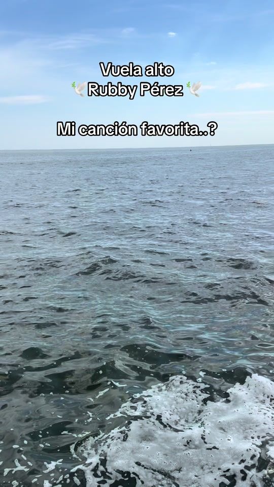 TikTok video thumbnail by esperanzanivelo