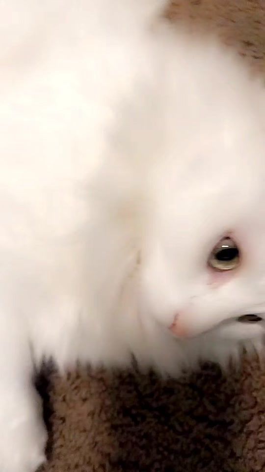 TikTok video thumbnail by morenaglez063