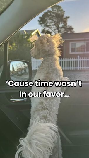 TikTok video thumbnail by ciklalyfernandez06
