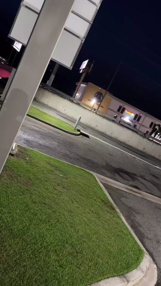 TikTok video thumbnail by paoli_100