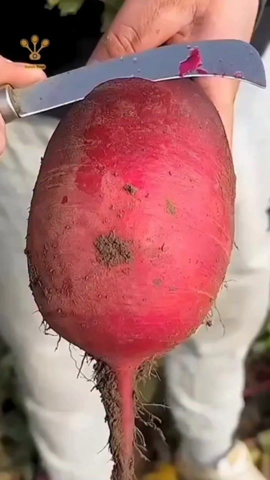 TikTok video thumbnail by dr..fatima07