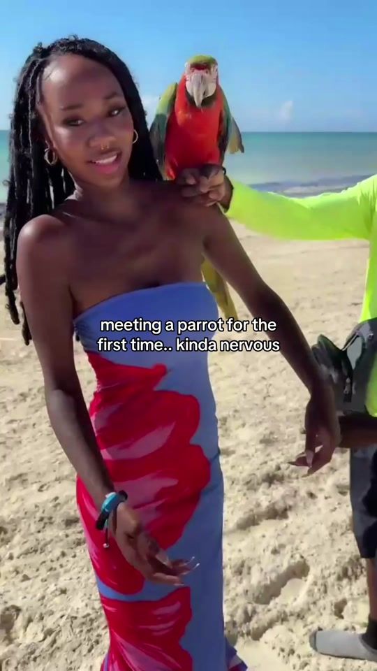 TikTok video thumbnail by mattie.dp