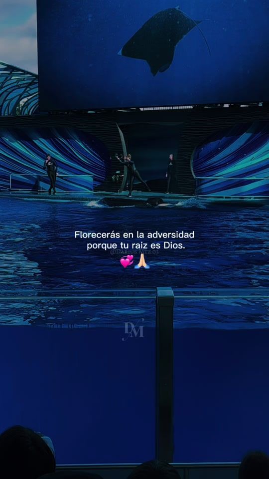 TikTok video thumbnail by amarilisgonzalez2