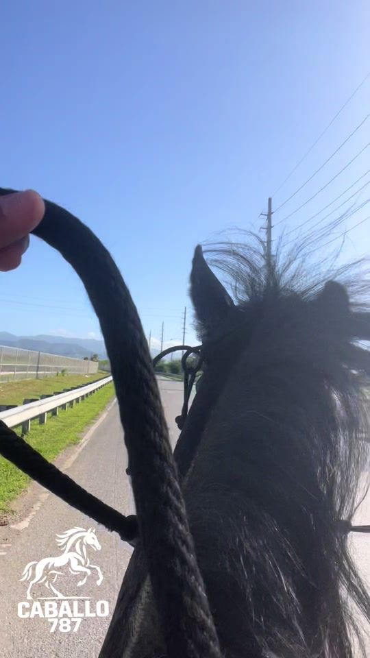 TikTok video thumbnail by caballo_787