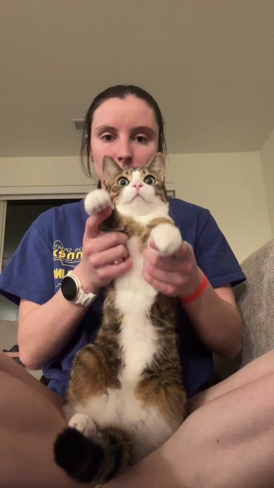 TikTok video thumbnail by emily_mikaa