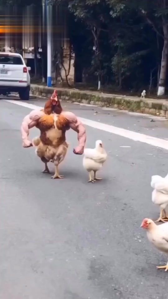 TikTok video thumbnail by williamnolasco101