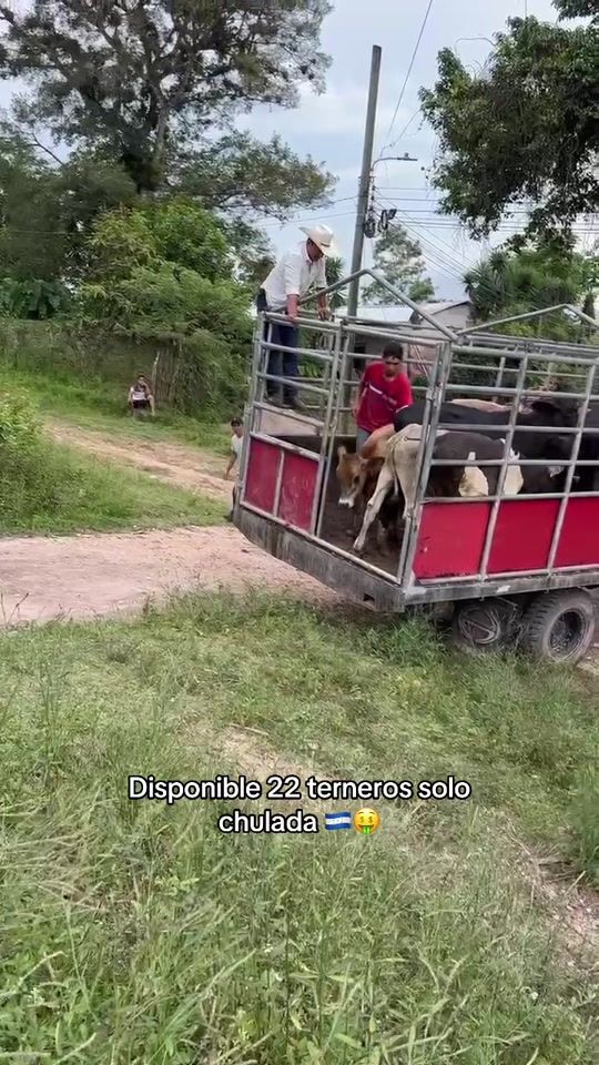 TikTok video thumbnail by linver_orellana
