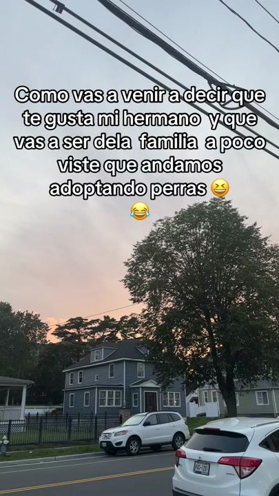 TikTok video thumbnail by lischavc.6
