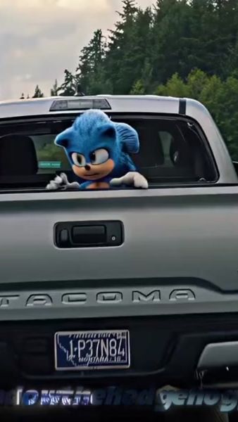 TikTok video thumbnail by shadowthehedgehog_66