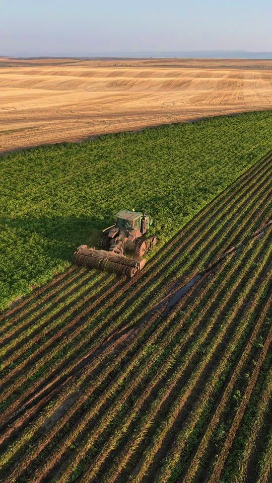 TikTok video thumbnail by idahofarmer