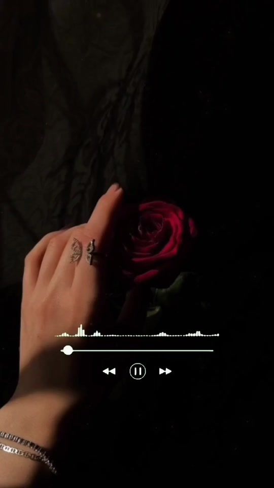 TikTok video thumbnail by corazonromantico02