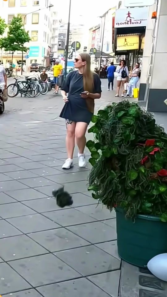 TikTok video thumbnail by rapidflick