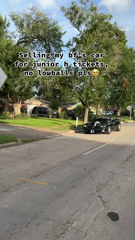 TikTok video thumbnail by dani3la_v