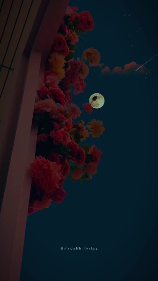 TikTok video thumbnail by mrdahhlyrics