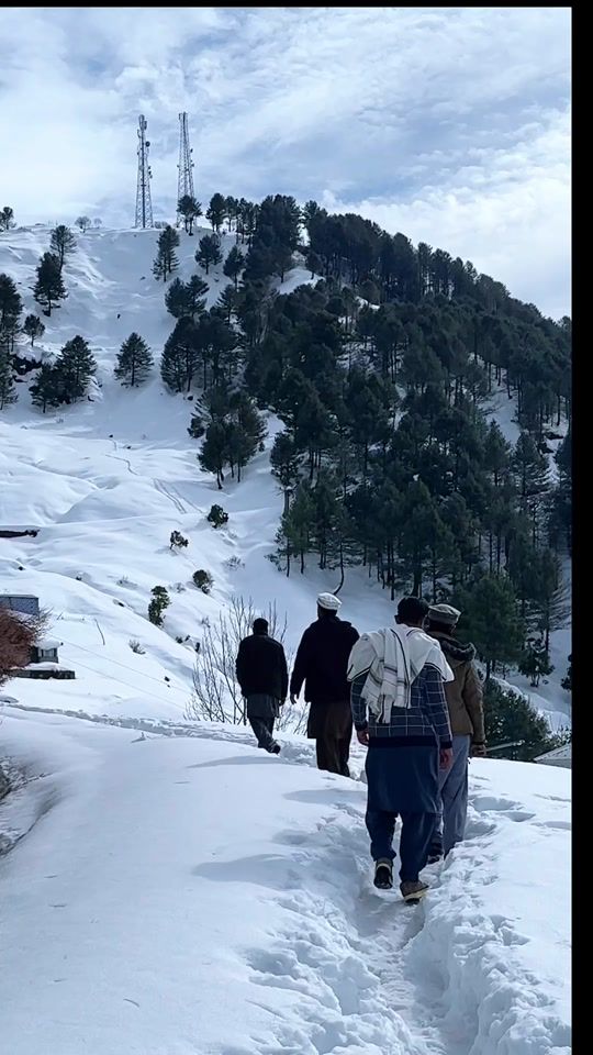 TikTok video thumbnail by kashmiri.lok
