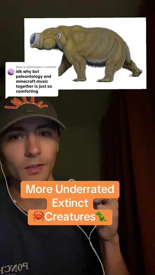 TikTok video thumbnail by goobris