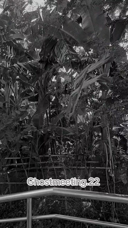 TikTok video thumbnail by ghostmeeting.22