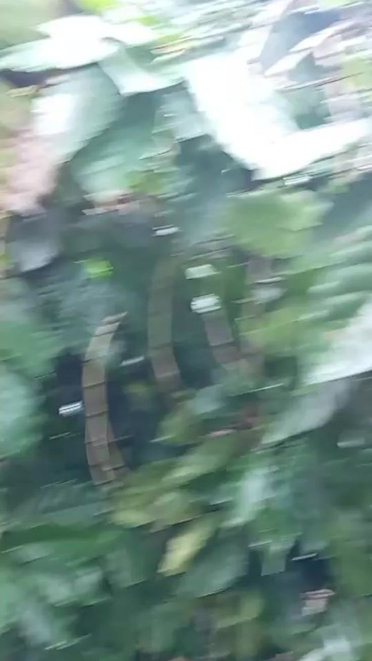 TikTok video thumbnail by juniorestrada1111