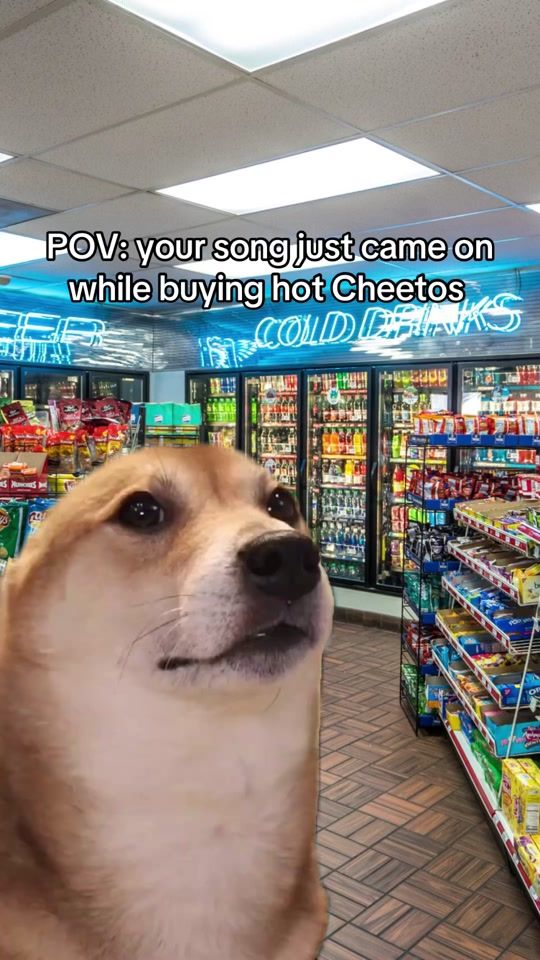 TikTok video thumbnail by toastedavacado