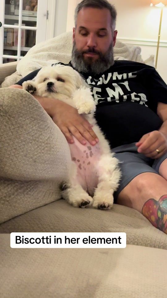 TikTok video thumbnail by munchkin_and_biscotti