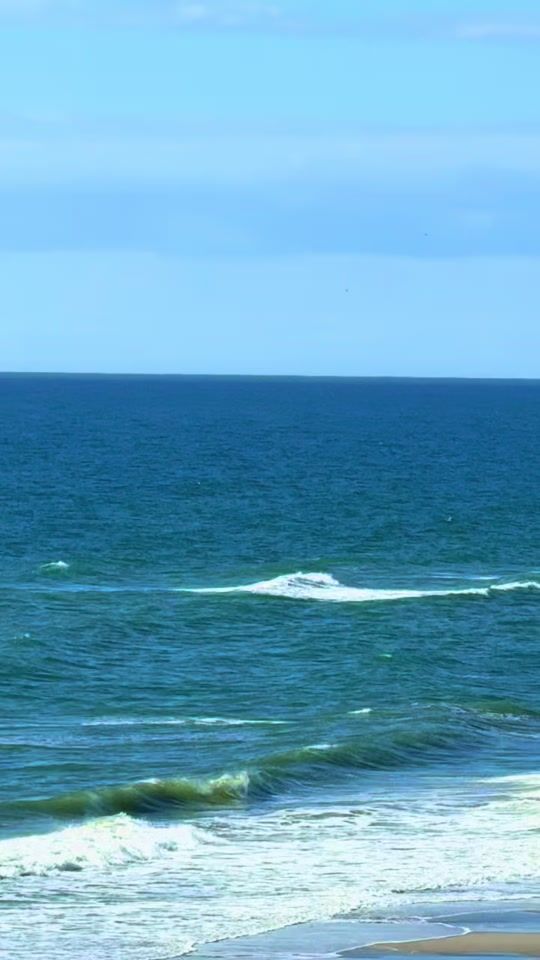 TikTok video thumbnail by outerbankssandy