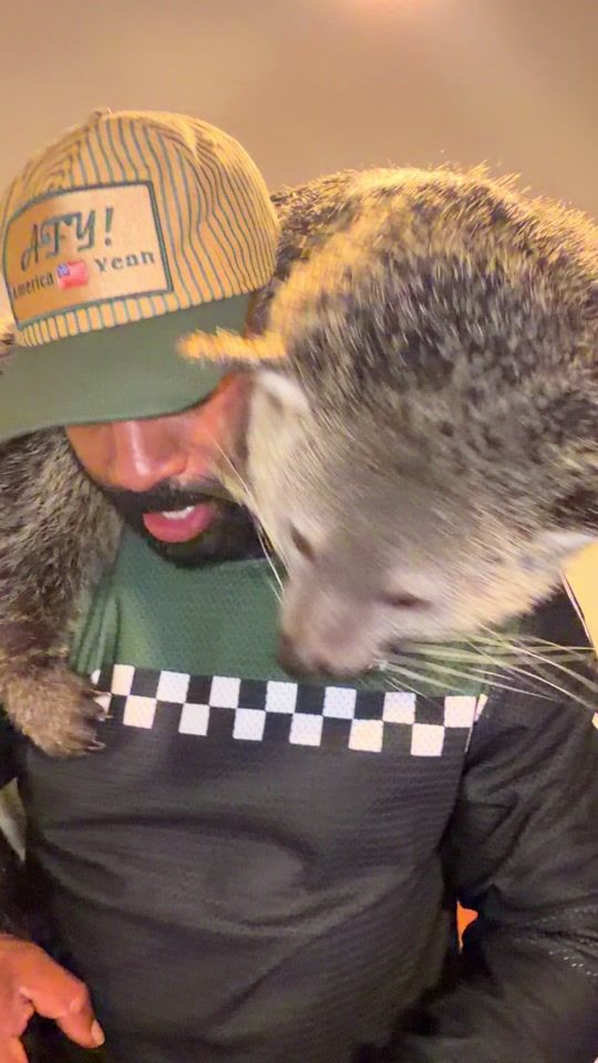 TikTok video thumbnail by therealtarzann