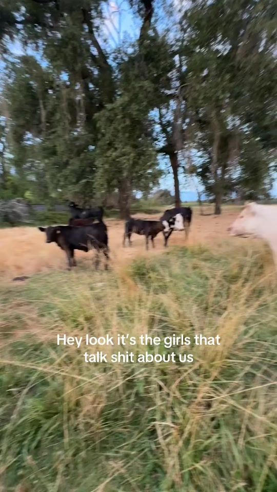 TikTok video thumbnail by 4ri.spammm