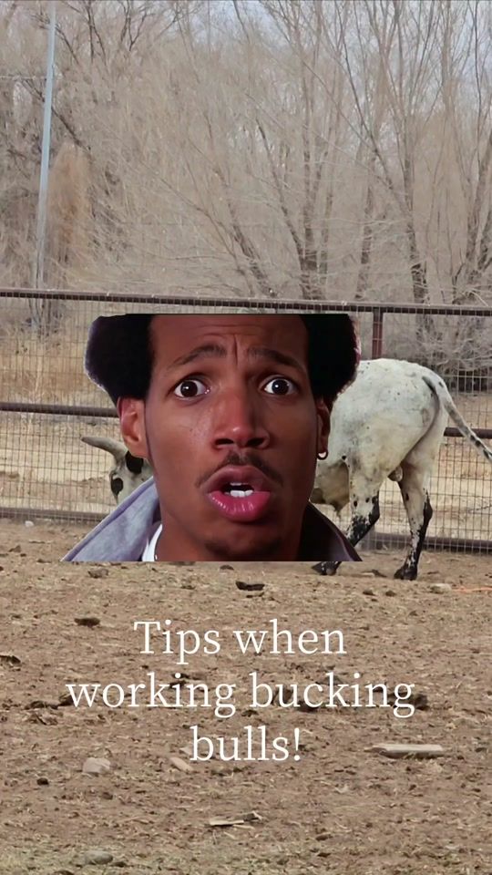 TikTok video thumbnail by raww.cattle.co