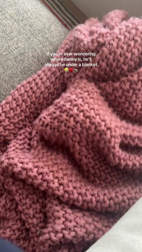 TikTok video thumbnail by clara.equestrian