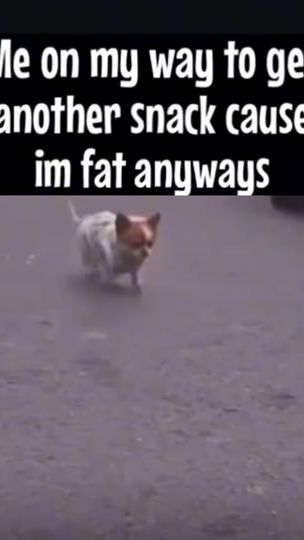 TikTok video thumbnail by user652174600471