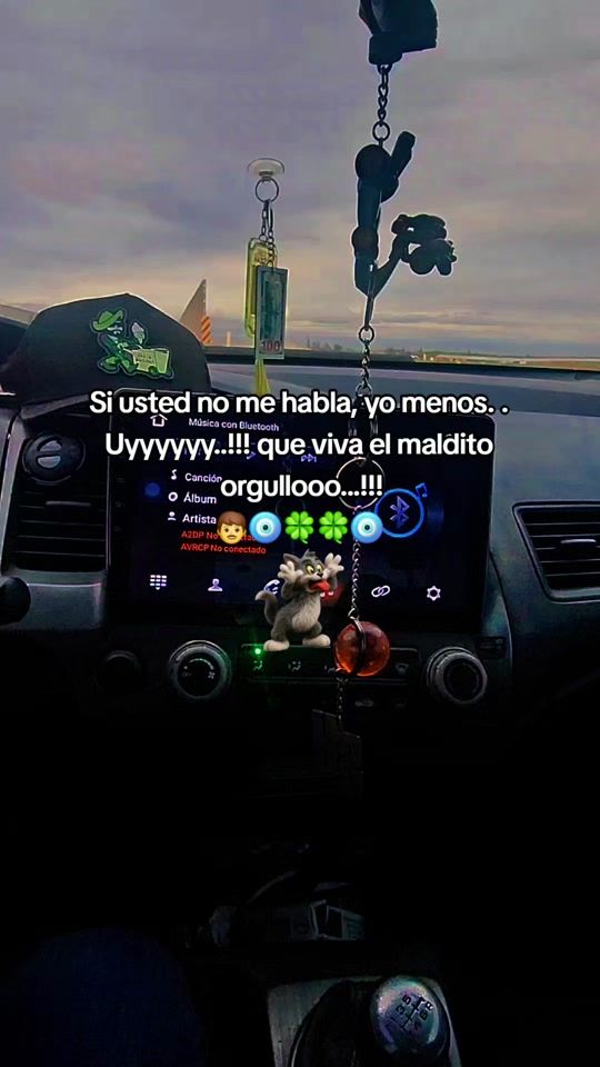 TikTok video thumbnail by _frases_perronas_