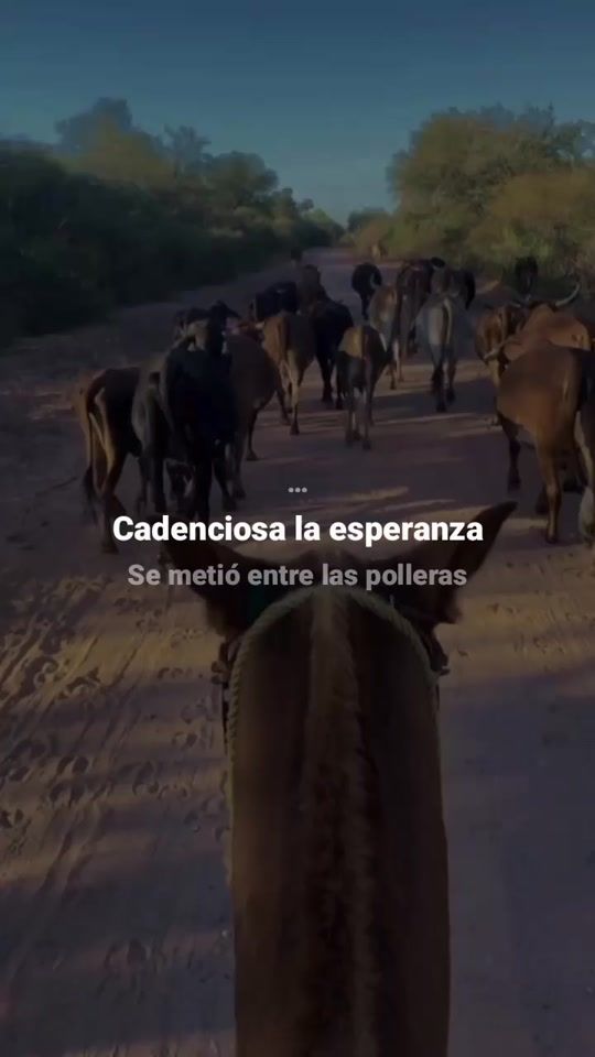 TikTok video thumbnail by folklortv.bo