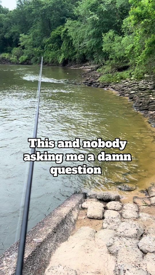 TikTok video thumbnail by finallyfallon