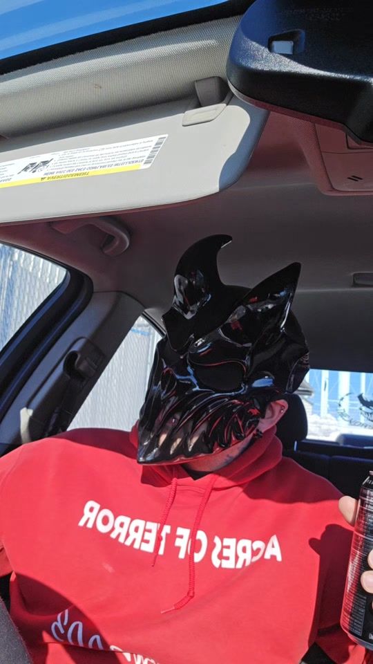 TikTok video thumbnail by the_norse_demon