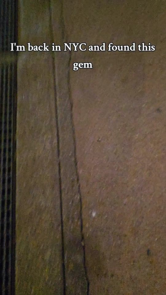 TikTok video thumbnail by anonymous_gh0st