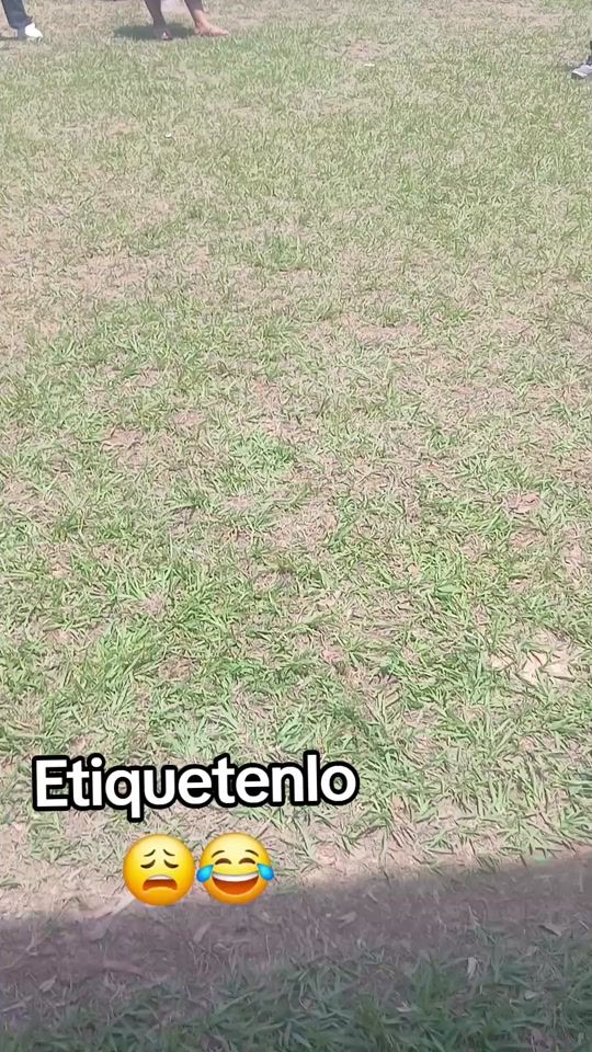 TikTok video thumbnail by wendy_luis6