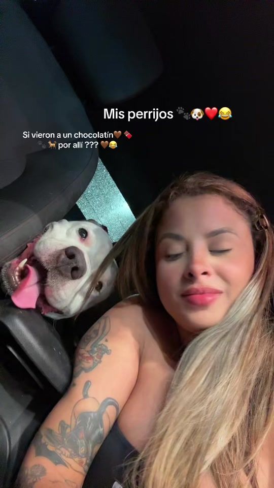 TikTok video thumbnail by elenaviterilaprima